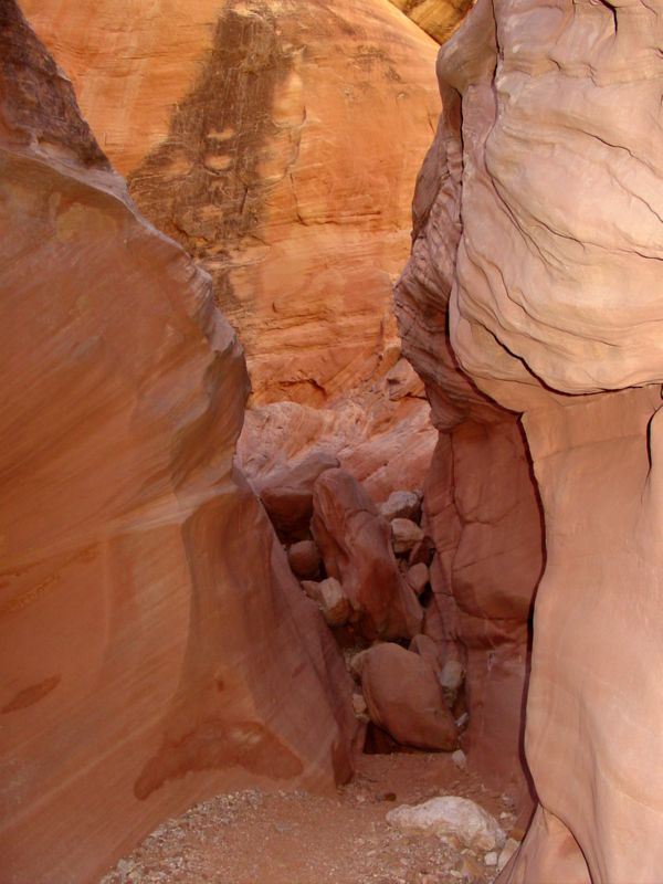 04160302LittleWildHorse (1116)